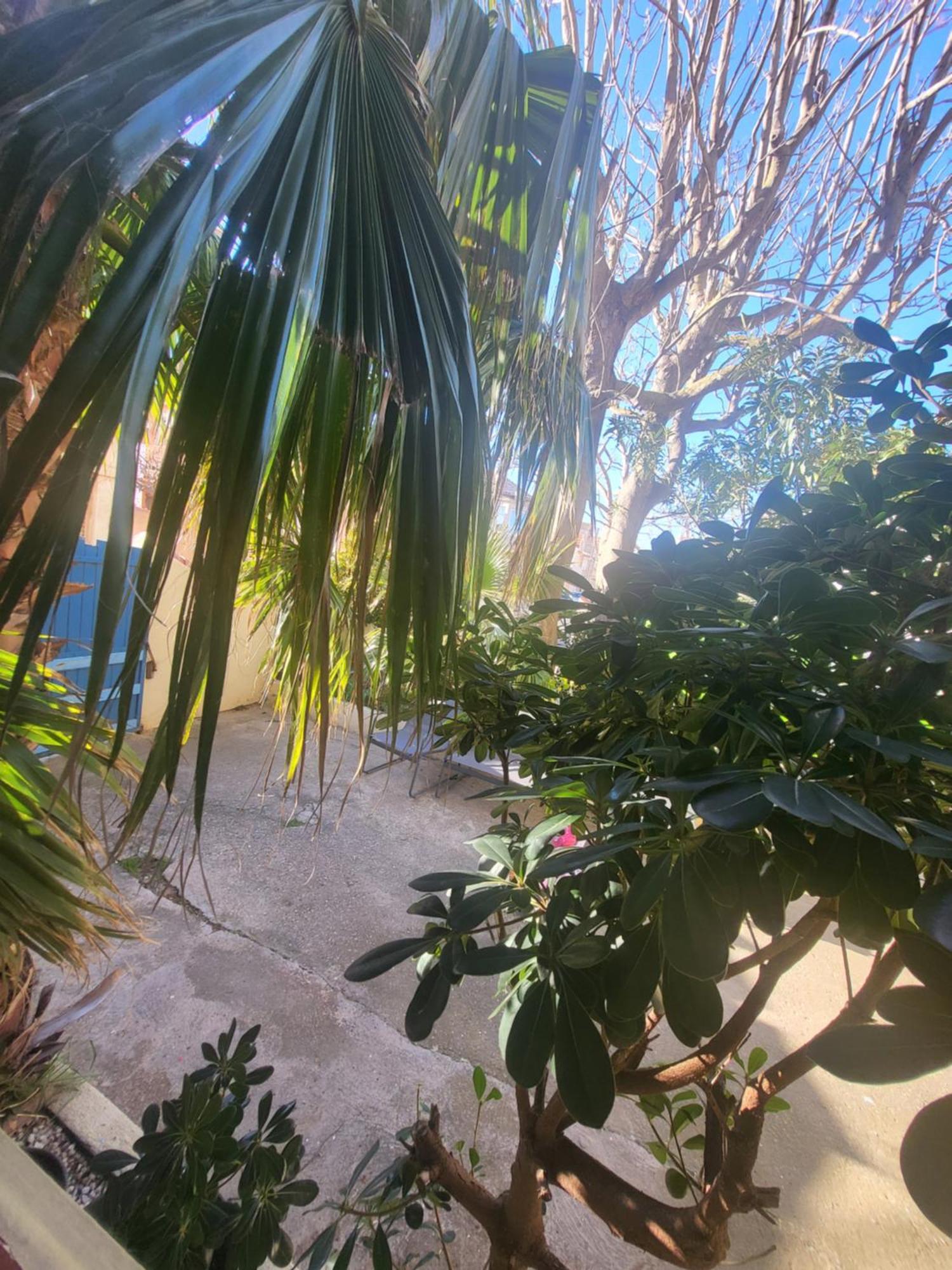 Hotel Le Chalet Valras-Plage Dış mekan fotoğraf